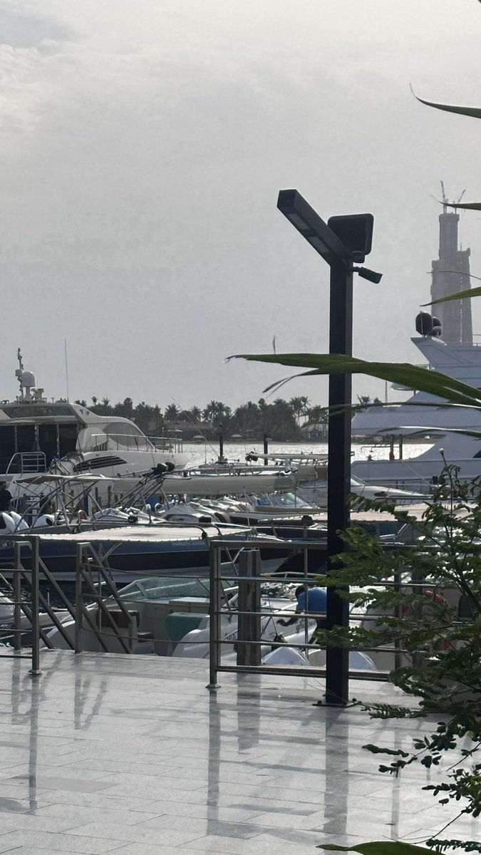 SHUHUD✨ tweet media