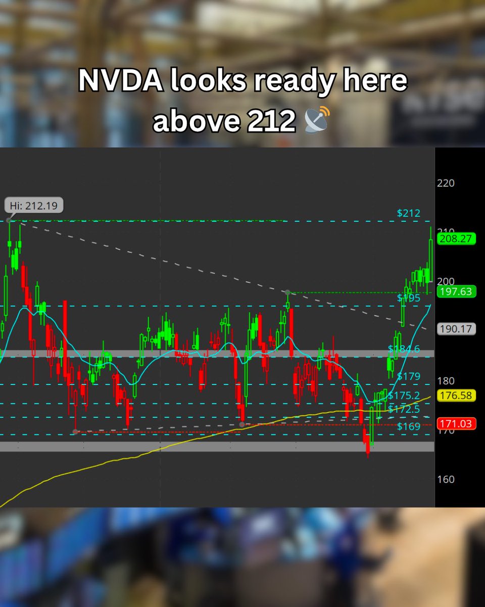 Nour Trades 🧘‍♂️ tweet media