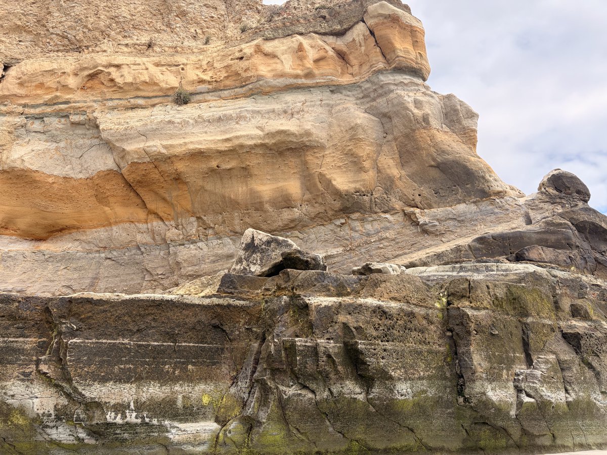 lacallada_'s tweet photo. the cliffs are falling and the peregrine is waiting. https://t.co/GWrpN6bzwl
