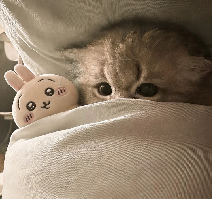 Waiting for a bedtime story