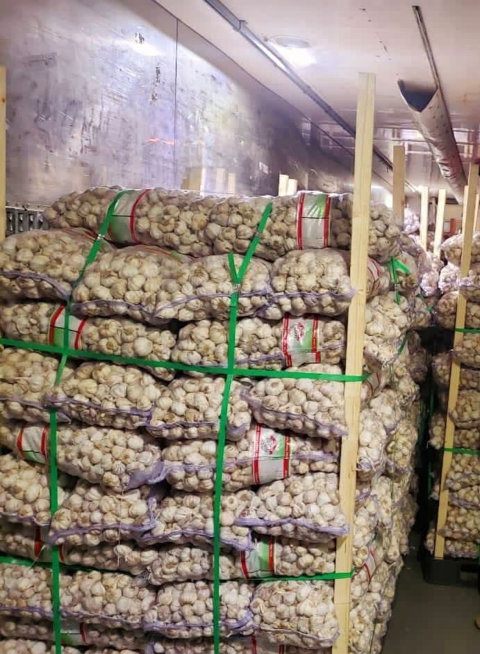 AHMAD SLMAN tweet media