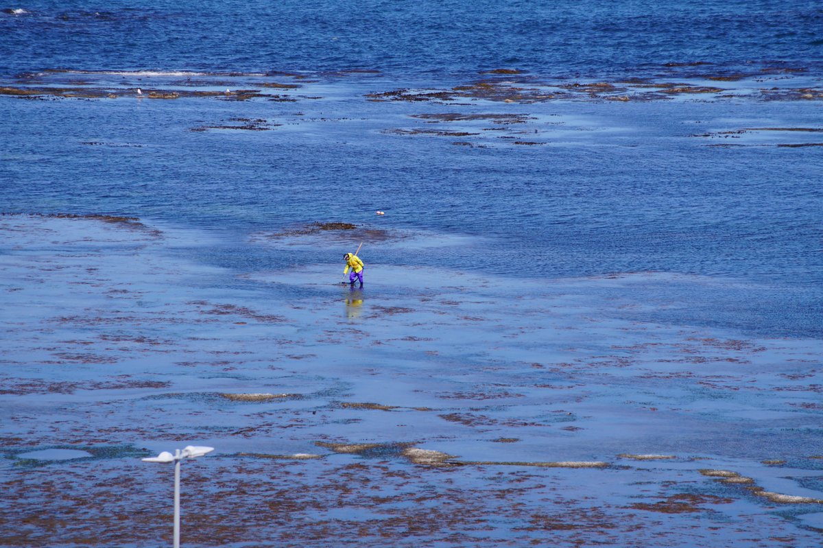 畑測量設計［稚内］ tweet media