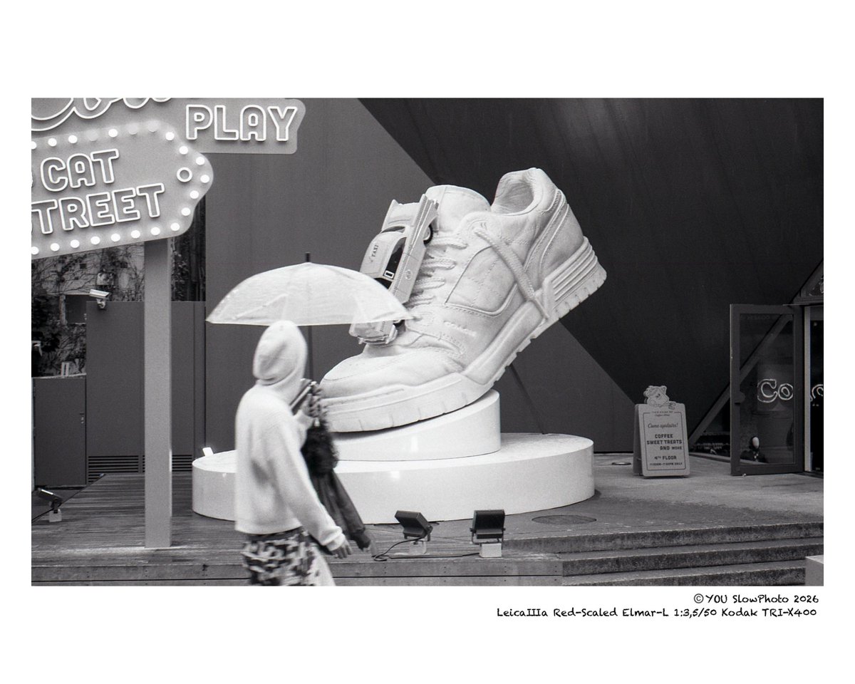 YOU_tanko's tweet image. SNAP PHOTO LIFE
CATSTREET☔️

今春は雨の日が多いですね

#filmphotography 
#streetphotography 
#snapphotography