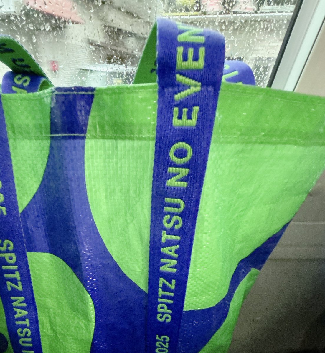 ねここ☆ tweet media