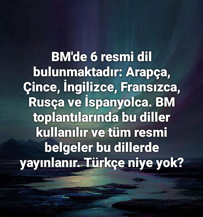 halim korlu tweet media