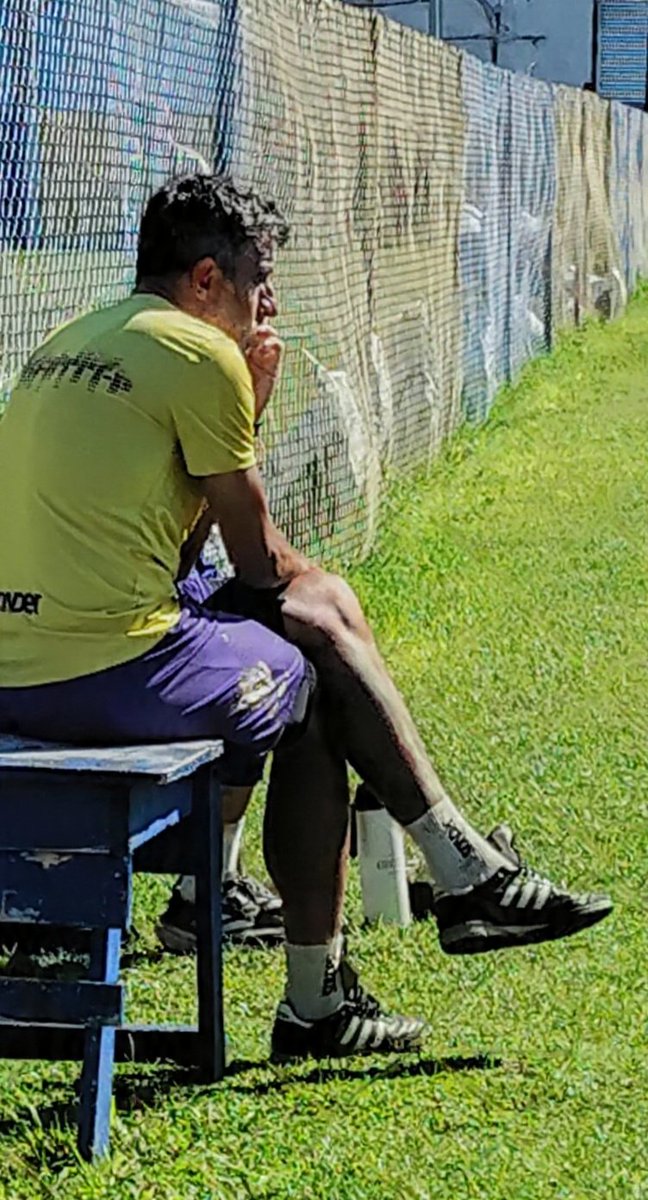 La Castroneta⭐(sovopepe) tweet media