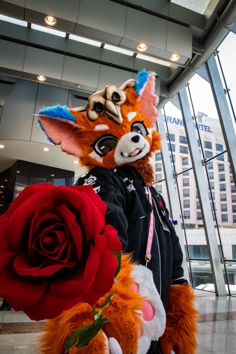 나요 ➫ 플레이엑스포(서포터).퍼클트립!!! tweet media