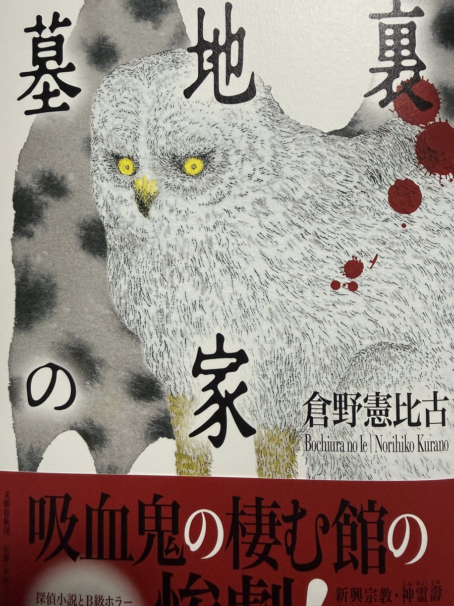 今年48冊目。 #倉野憲比古「#墓地裏の家」読了。 吸血鬼が好きな僕は