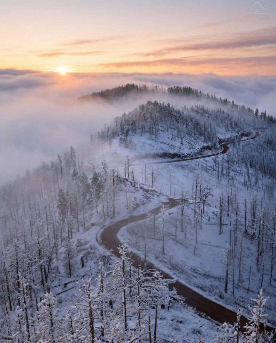 earthvives's tweet image. Proof that reality can be more beautiful than any filter 🌸

#beauty #naturelover #incredible #discover #planet