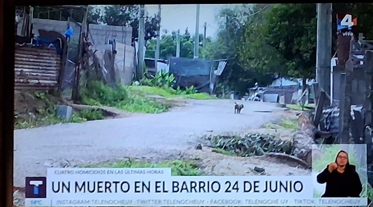 Elizabeth Izzi 🦋🇺🇾 tweet media