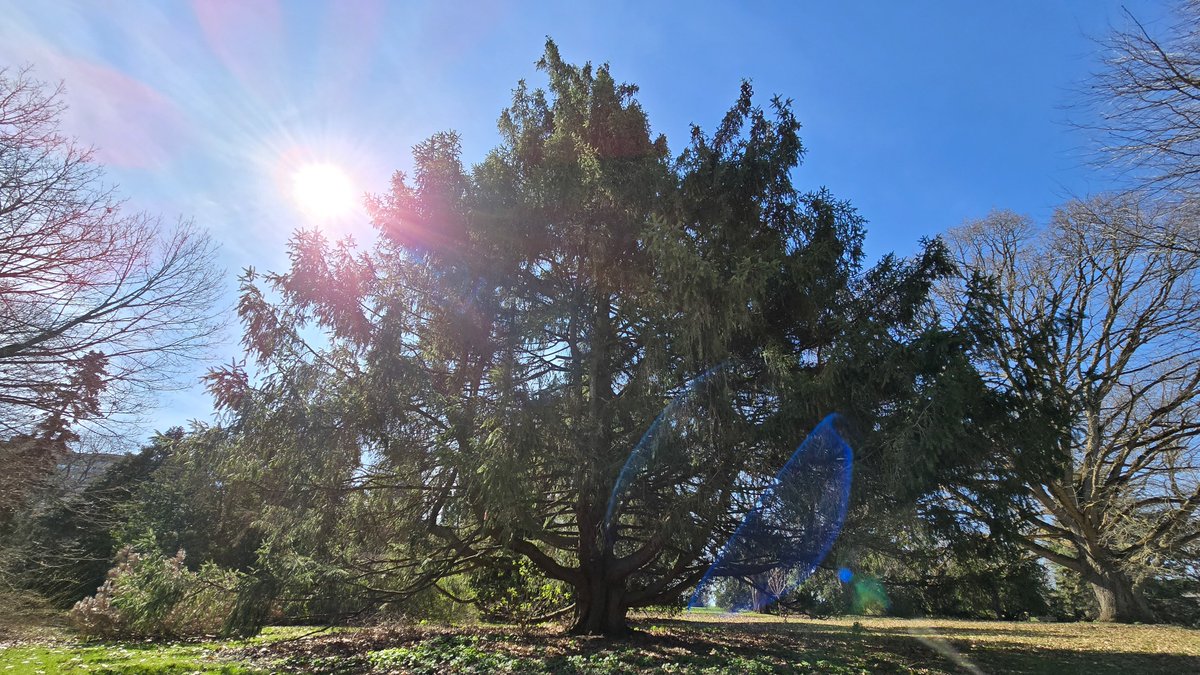 𝚂𝚞 𖠰 tweet media