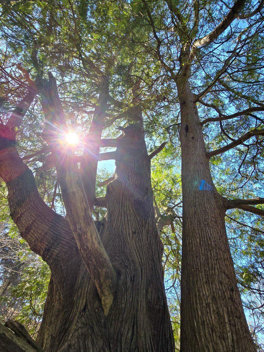 𝚂𝚞 𖠰 tweet media