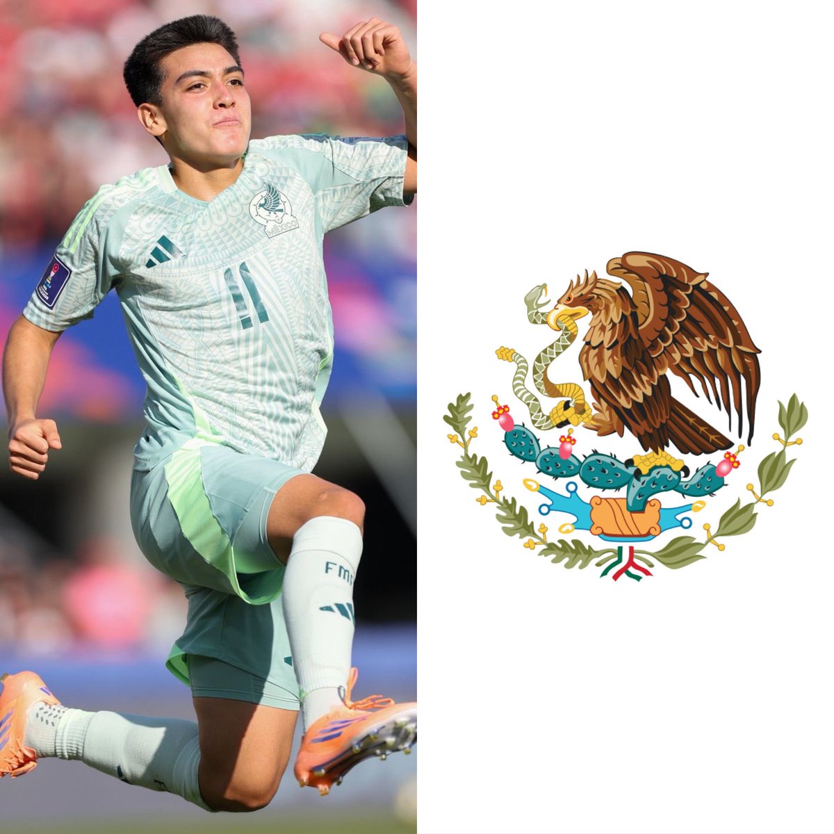 Cerebros tweet media