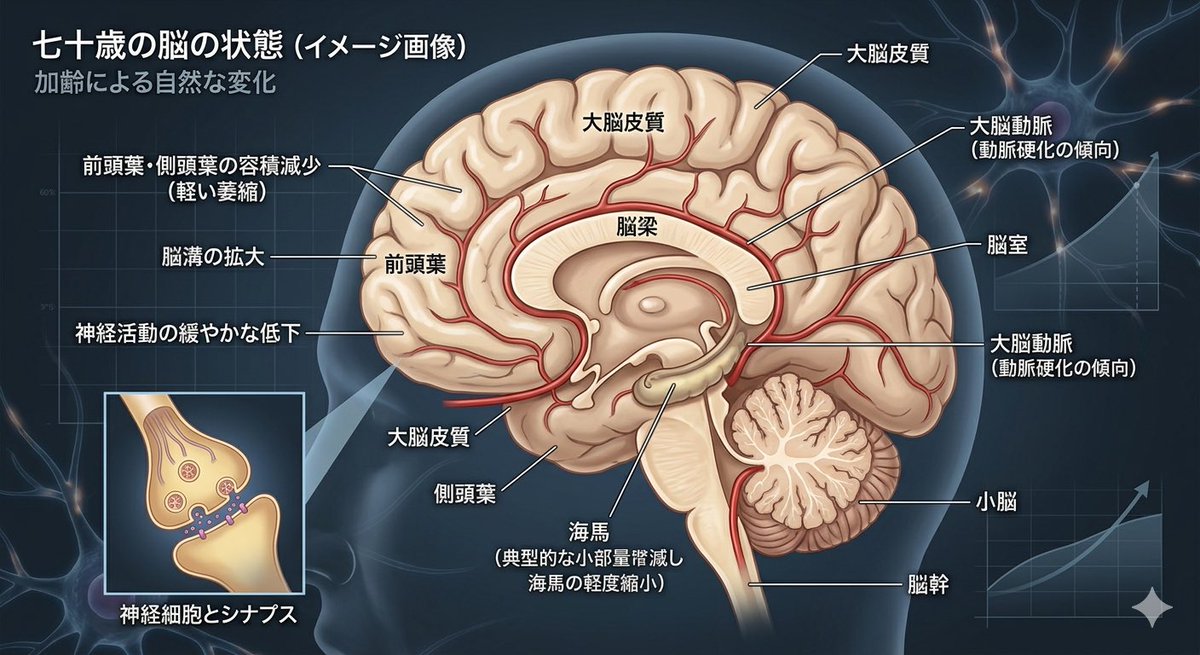 yancya512's tweet photo. どこの市長かは知らないが、70歳超えたら政治は若手に任せよう。
老害ですよ

そろそろ自分の時間を持った方が良いですよ。 https://t.co/cjLGiCUS4S