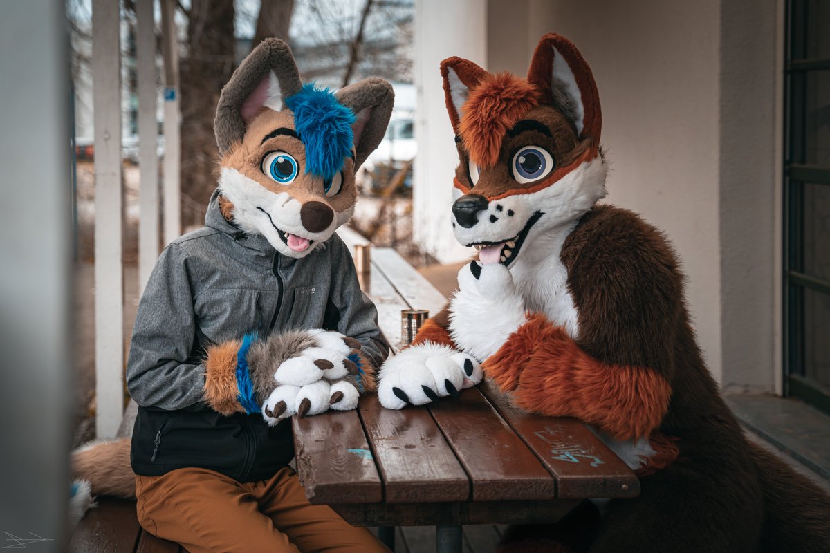 Lick's Photo tweet media