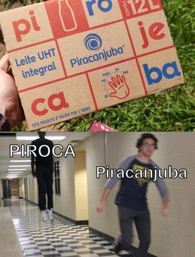 Traficante de Memes tweet media