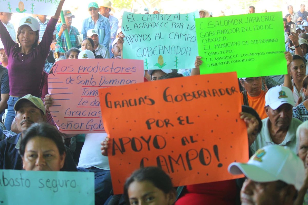 SEFADER_GobOax's tweet photo. En la  Ciénega de Zimatlán, el Gobernador del Estado, @salomonj ,acompañado del titular de la #Sefader, Ing. @LópezLeyvaV, encabezaron la entrega de apoyos al campo 2026, con una inversión superior a 43.6 millones de pesos en beneficio de más de 4 mil productoras y productores de Valles Centrales.

A través de los programas Abasto Seguro de Maíz y Maíz Nativo, se fortalecen las actividades agrícolas, acuícolas y el aprovechamiento del agua mediante la entrega de paquetes de insumos agrícolas, atención fitosanitaria a cultivos, distribución de alevines de tilapia y trabajos de desazolve para mejorar la captación de agua de uso agrícola. 💧🌽🐟

Con estas acciones, el Gobierno del Estado y la #Sefader reafirman su compromiso de seguir transformando el campo oaxaqueño con bienestar, productividad y justicia social para las ocho regiones. 🤝🌾

En este importante evento estuvieron presentes las y los productores, así como autoridades de distintos municipios de los Valles Centrales; también se contó con la presencia del Presidente Municipal de la Ciénega de Zimatlán, Pawel Celaya Arellanes; la Senadora Laura Estrada Mauro; la Presidenta de la Mesa Directiva del Congreso del Estado, Dip. Eva Diego; la Presidenta de la JUCOPO, Dip. Tania Caballero; así como las y los diputados Iván Osael Quiroz Martínez, Isaías Carranza  Secundino, Raynel Ramírez Mijangos y César David Mateos Benítez.

También asistieron el Dr. Jelle Van Loom, Representante Regional para América Latina y Director Asociado de Sistemas Agroalimentarios Sostenibles del CIMMYT; el Dr. Mariano Morales Guerra, Subsecretario de Seguridad Alimentaria; el Ing. Mario Robles González, Subsecretario de Agronegocios; y la Lic. Juanita Arcelia Cruz Cruz, Directora General del Instituto de Planeación para el Bienestar.