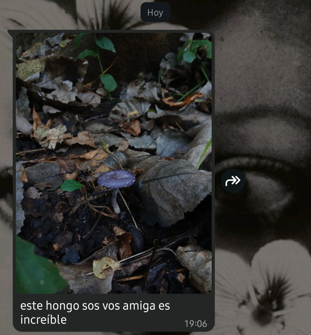 nunca voy a dudar de que soy amada pq tengo amigas que me mandan msjs así