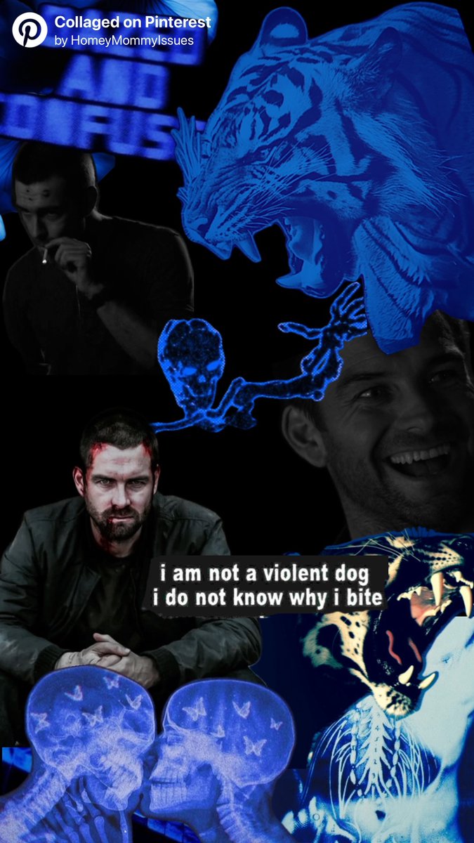 🪐Finnegan🏳️‍⚧️ tweet media