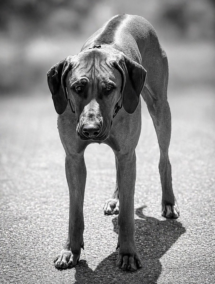 Sandy Welch tweet media