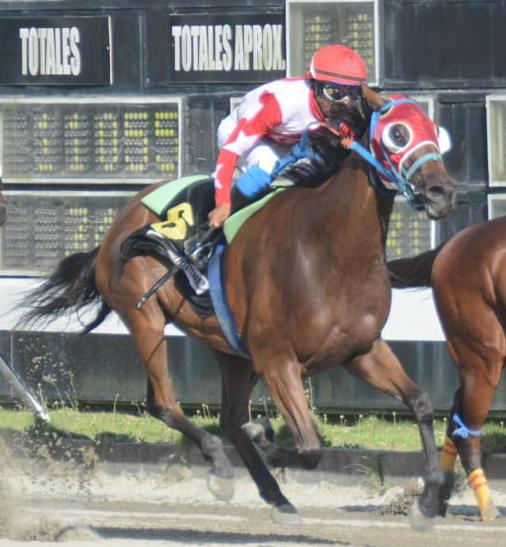 HipódromoVCentenario tweet media