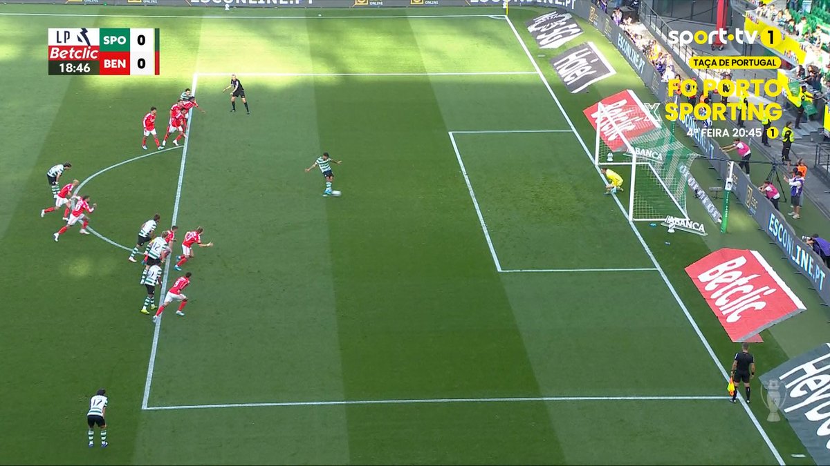 M.Araújo🦁 tweet media