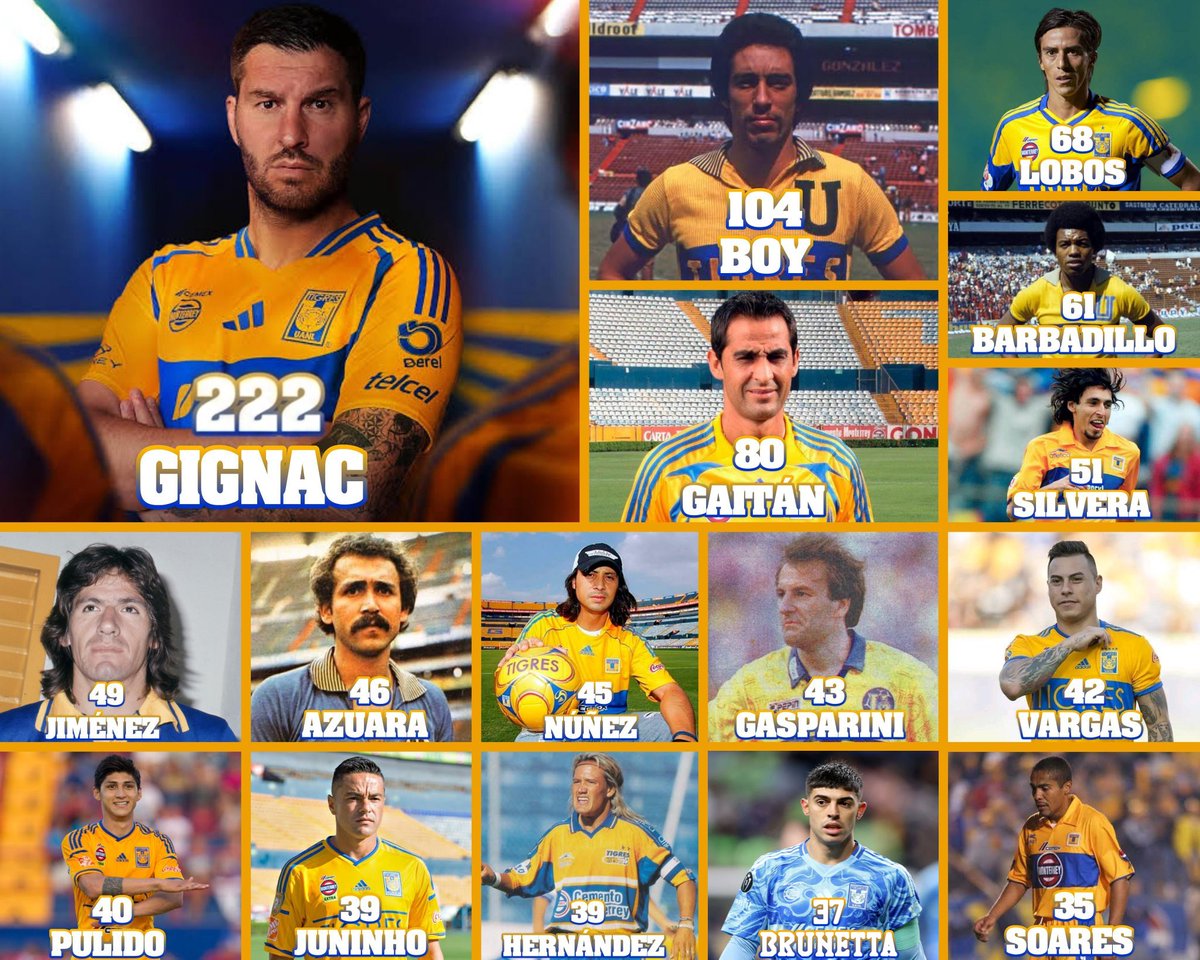 Cody Punk tweet media