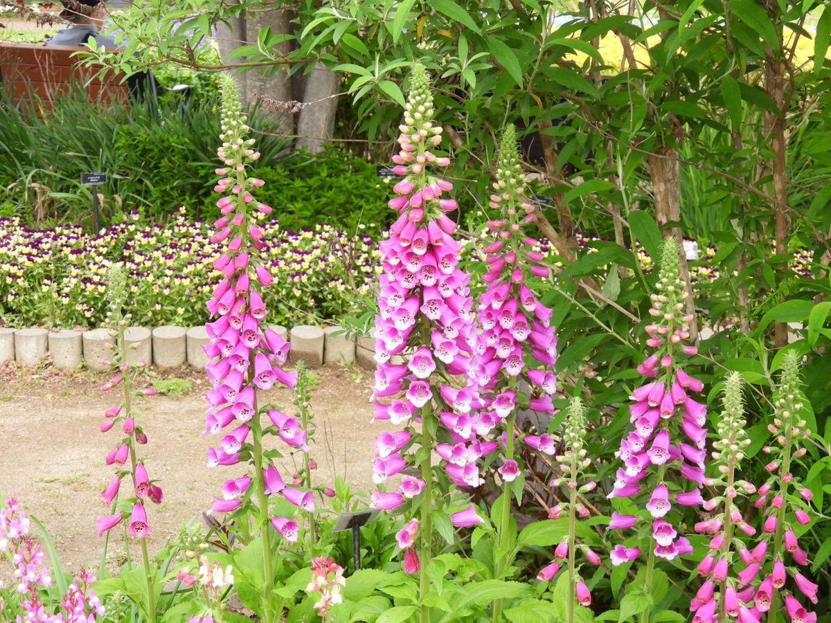 おはようございます
　　⁝⁞⁝⁞Ϛ⃘๑•͡ .̫•๑꒜☂⁝⁞⁝⁝

今週も笑顔でいきましょ(∗ˊ꒵ˋ∗)