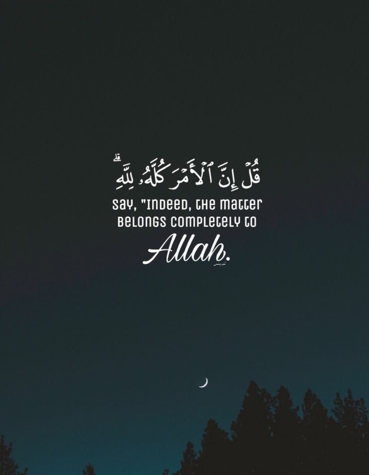 مُطمئِنةَ.! tweet media