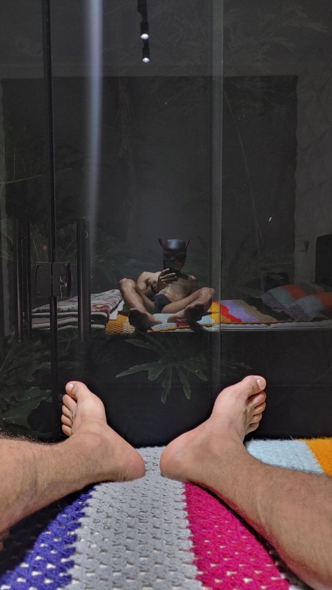 Mike Dotado 22cm tweet media