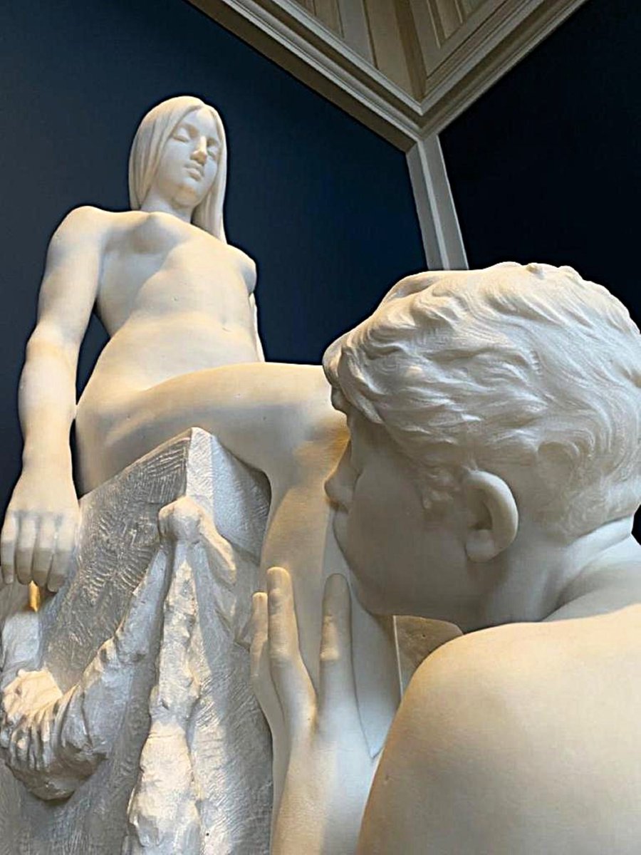 Alexandra Sorolla tweet media