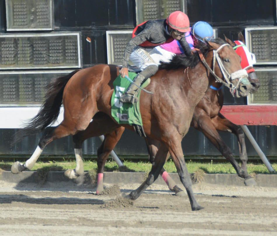 HipódromoVCentenario tweet media