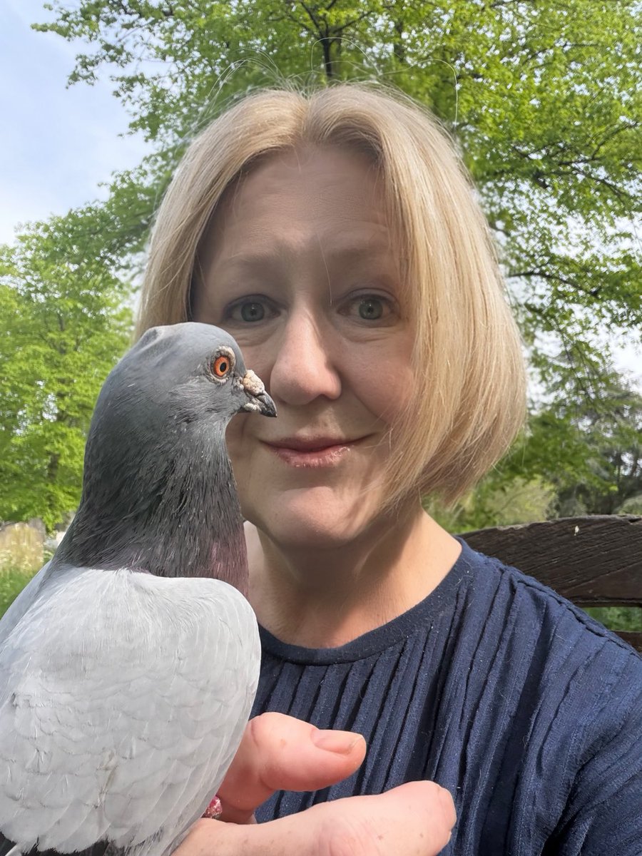 BromptonBunch's tweet image. Norman is a very imposing &amp;amp; busy leading pidge so I felt very appreciative of his time earlier #Pigeons