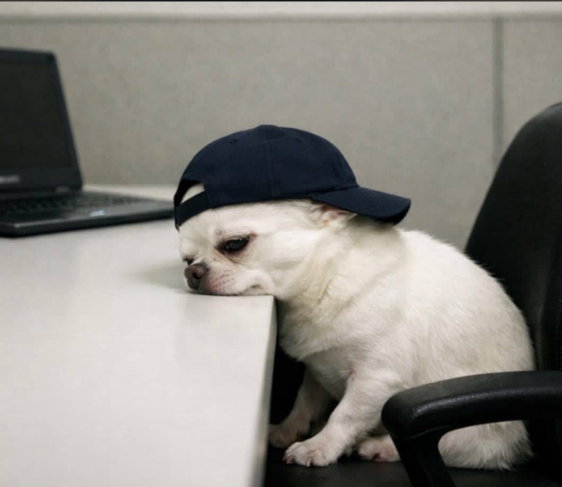 Ben thinks ⭐ tweet media