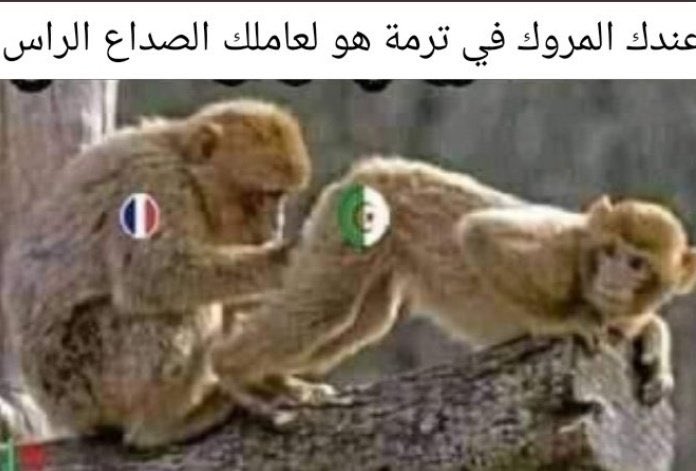 Mustapha nadori tweet media