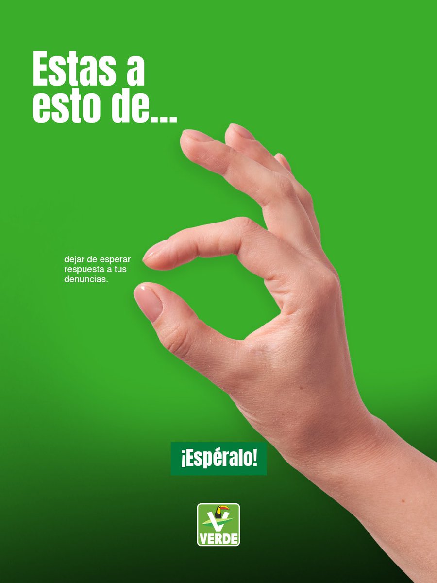 PVEM Cd. de México tweet media