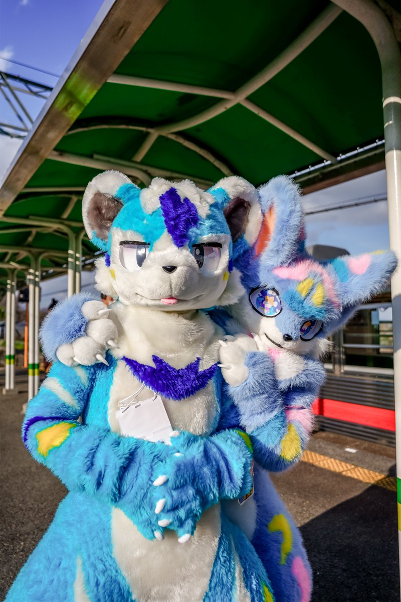 uxtua_418's tweet photo. もしも通勤通学中に駅で２人のケモノさんに遭遇したら２倍頑張れる…？
#ケモノをみて今週もがんばりマンデー
#リュゼライナー102号 https://t.co/70CnNrEkAg
