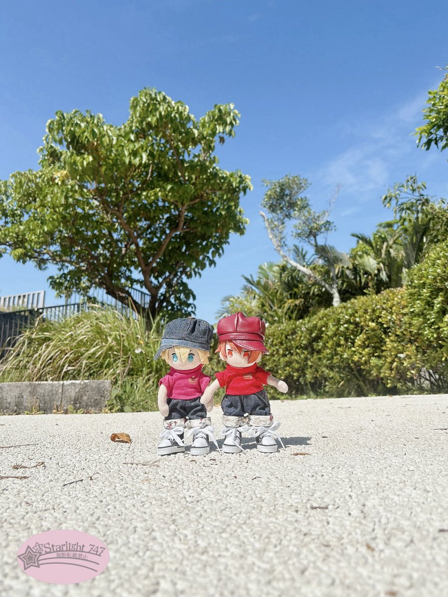 星✨(🌈)…返事🐢… tweet media