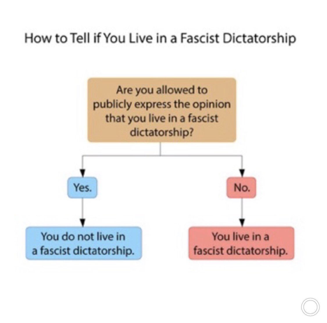 Jeffrey MacGinnis tweet media