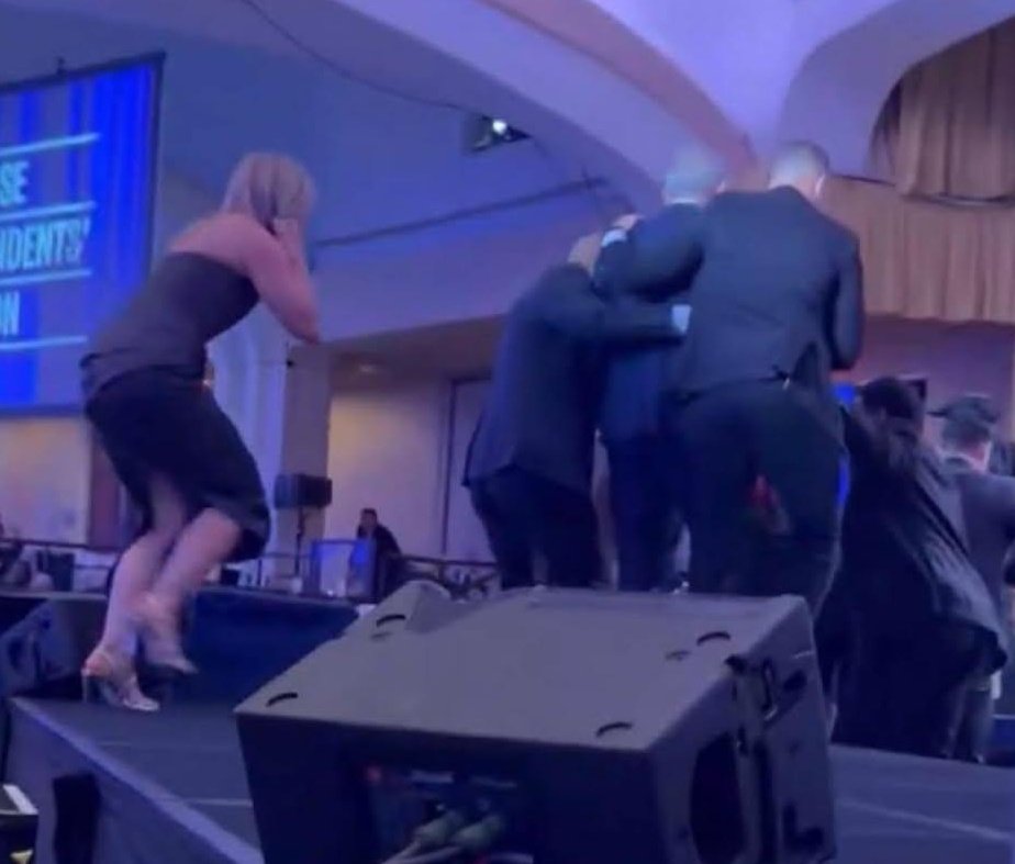 Mack's Cats tweet media