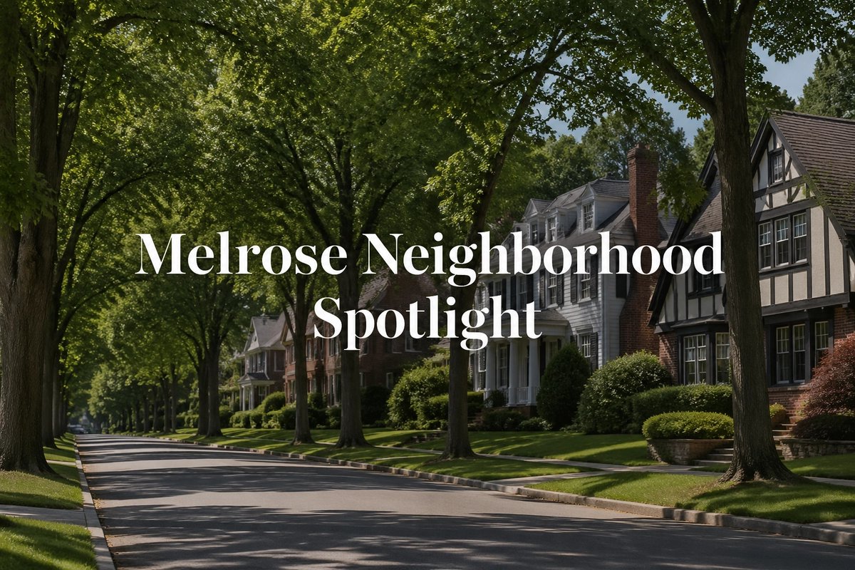 RenataVLewis's tweet image. Melrose is Albany’s quiet gem. Enjoy tree-lined streets near top hospitals and universities.

1. Explore the quiet lanes.
2. Find historic architecture.
3. Walk to local amenities.

Thinking of Melrose? DM MELROSE.

#AlbanyNY #Melrose #RealEstate #Albany #CapitalRegion