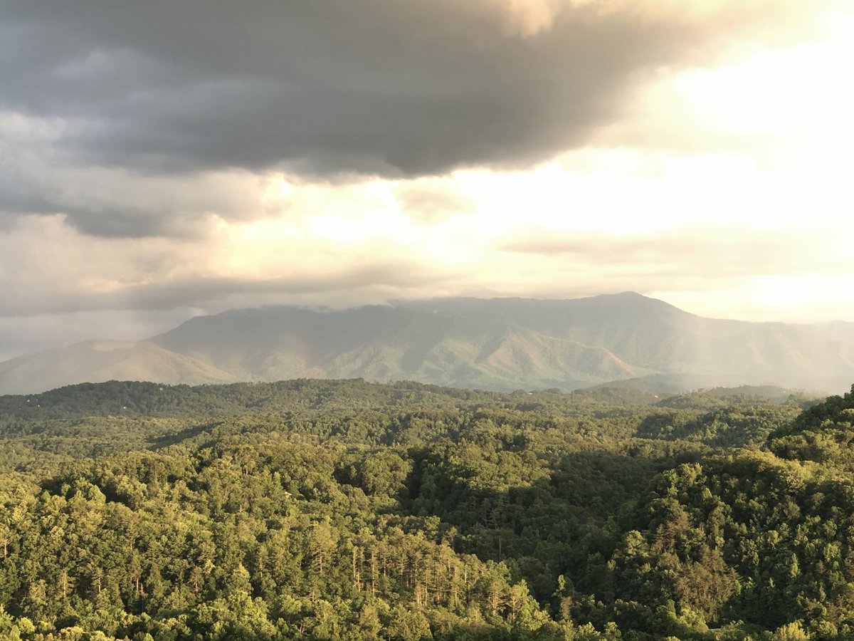 Smoke3x's tweet image. Man I need this so bad! #Home