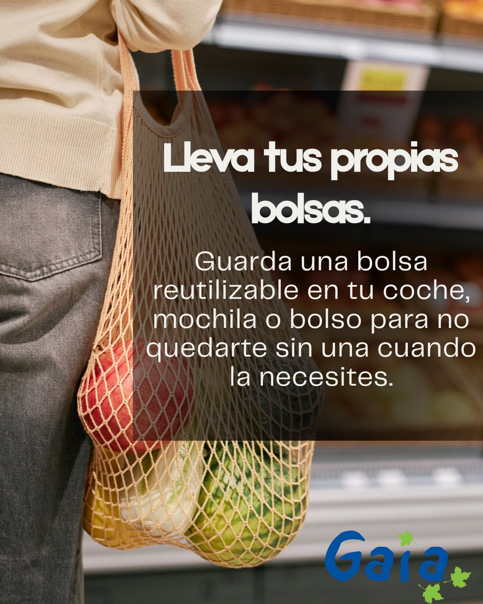 Gaia, A.C. México tweet media