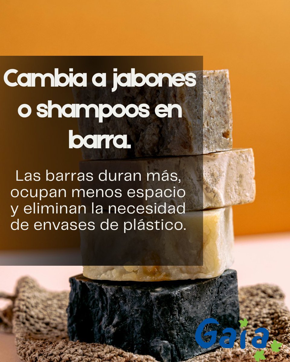 Gaia, A.C. México tweet media