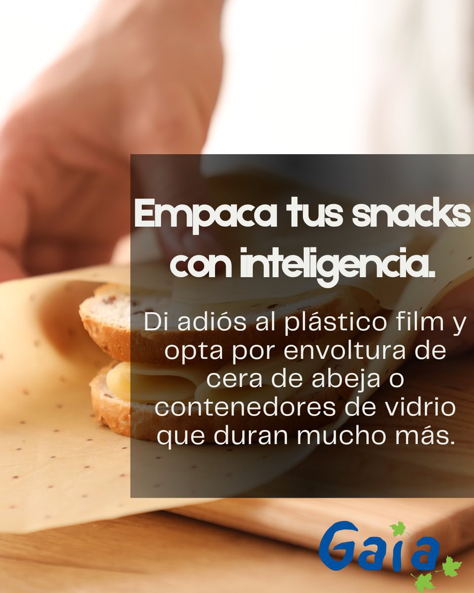 Gaia, A.C. México tweet media