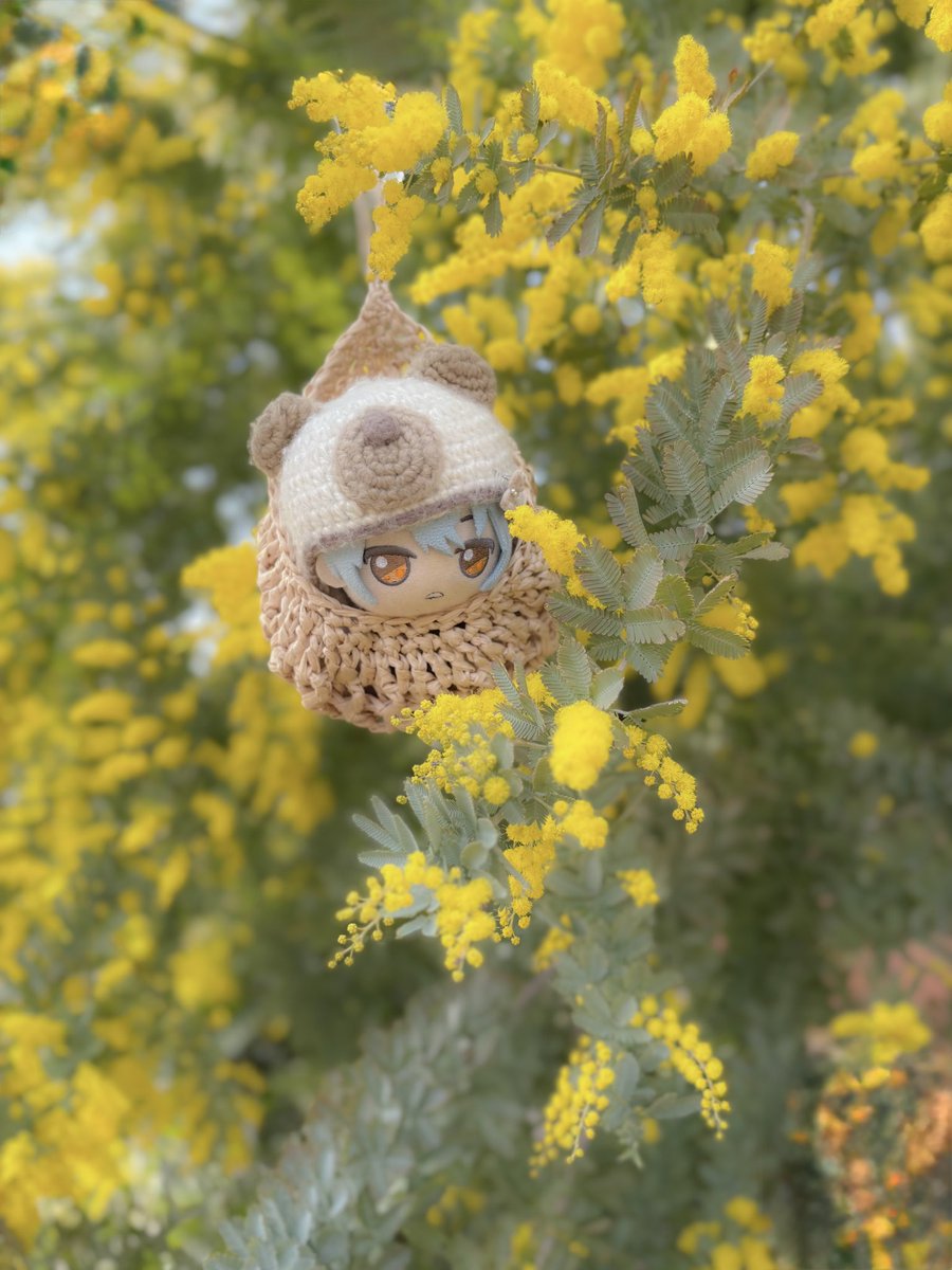 ゆきみるくらげ@漂流中 tweet media