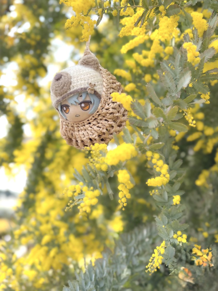 ゆきみるくらげ@漂流中 tweet media