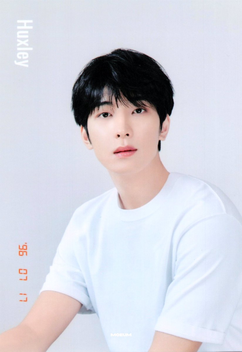 월요일이니까 다들 청순댕냥하고 힘내자여 .•🤍🐶🐱