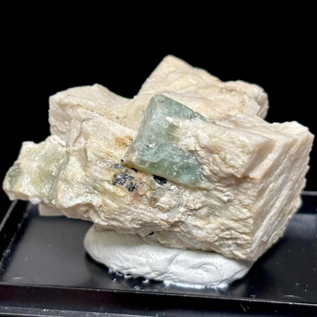 まーぼー tweet media