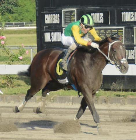 HipódromoVCentenario tweet media